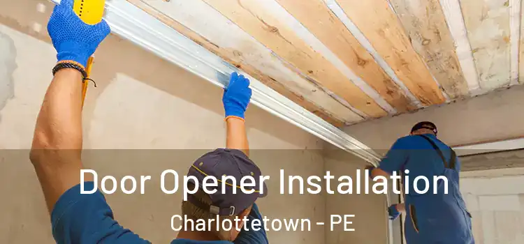 Door Opener Installation Charlottetown - PE