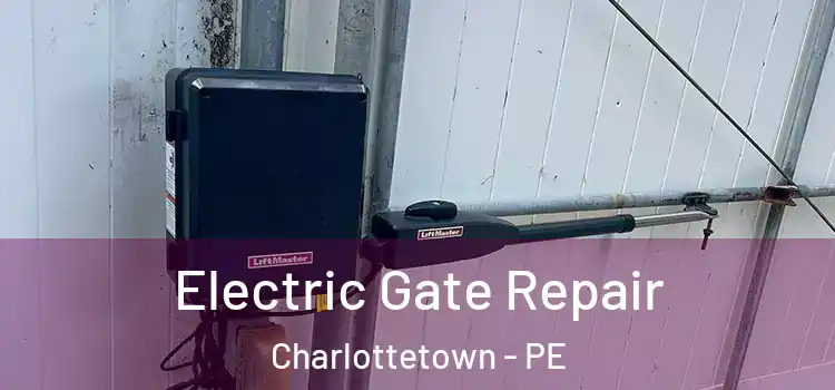 Electric Gate Repair Charlottetown - PE