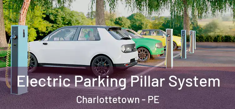  Electric Parking Pillar System Charlottetown - PE