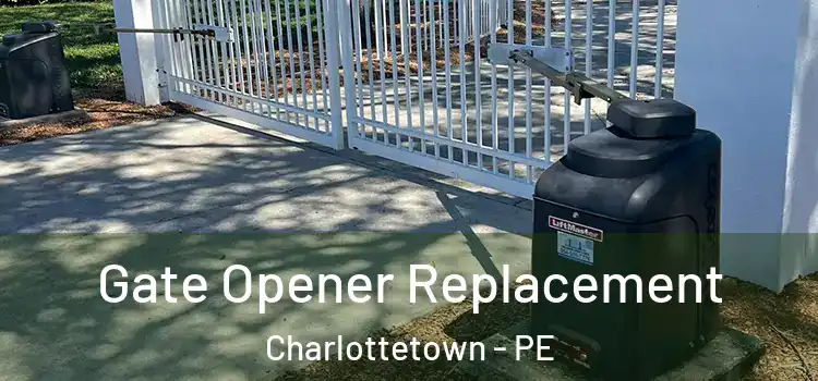  Gate Opener Replacement Charlottetown - PE